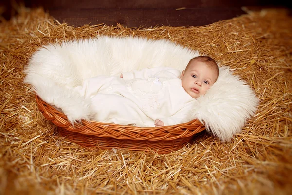 Pequeno bebê descansando na cesta no fundo palha palha haystack — Fotografia de Stock