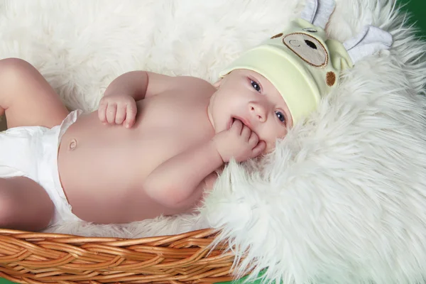 Resting newborn baby on fur in basket — Stok fotoğraf