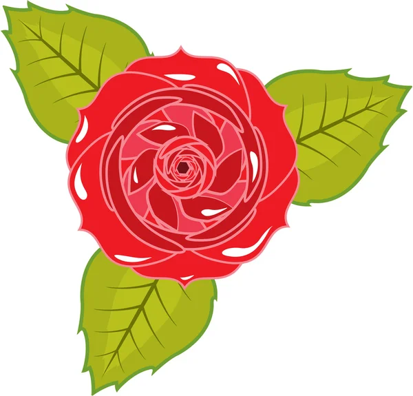 Rose vector — Stock Vector