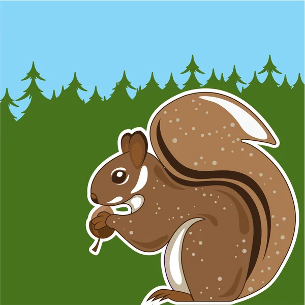 Squirrel isolate — Stock Vector