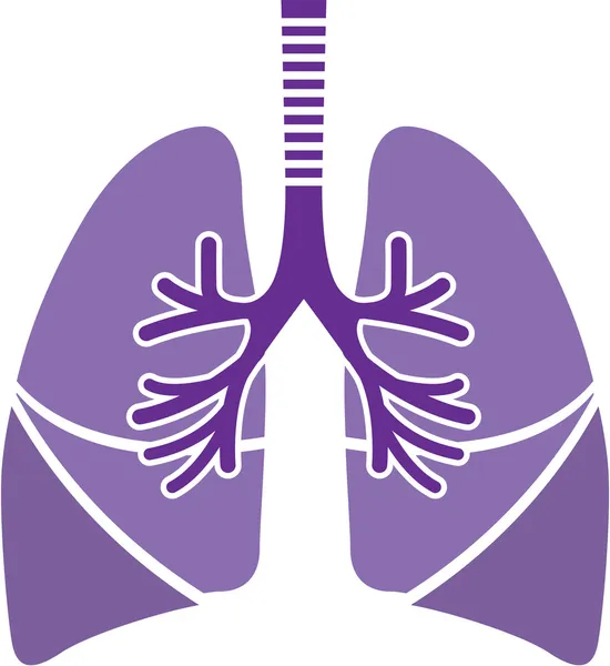 Pulmones sanos — Archivo Imágenes Vectoriales