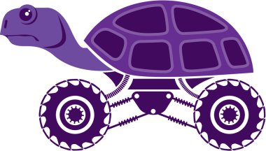 çılgın kaplumbağa