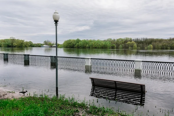 Наводнения в парке — стоковое фото