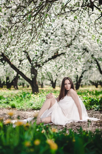 Gorgeous brunette — Stock Photo, Image