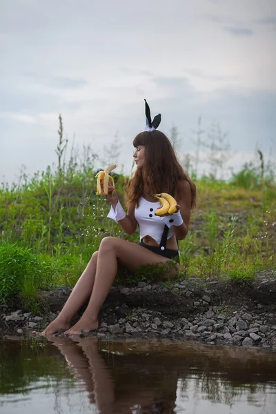 Bunny with fruits — Stock Photo, Image