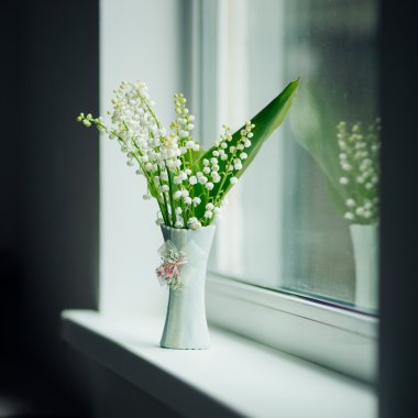 vazo ile Mayıs zambak