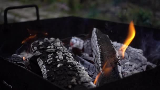 Oheň a bílý popel — Stock video
