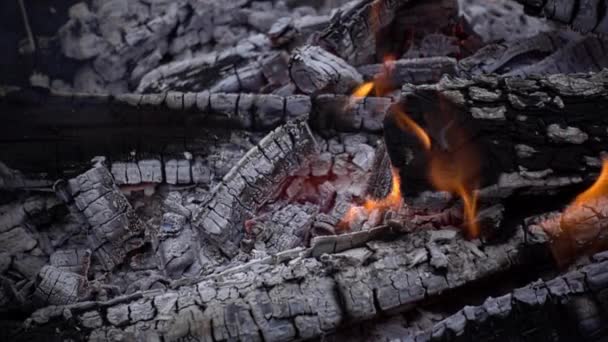 火と白い灰 — ストック動画