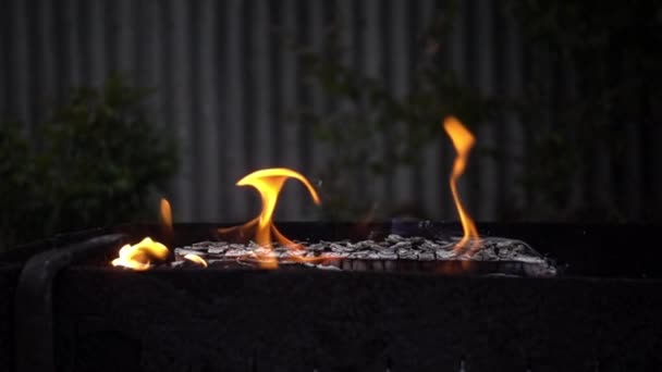 Oheň na pikniku — Stock video