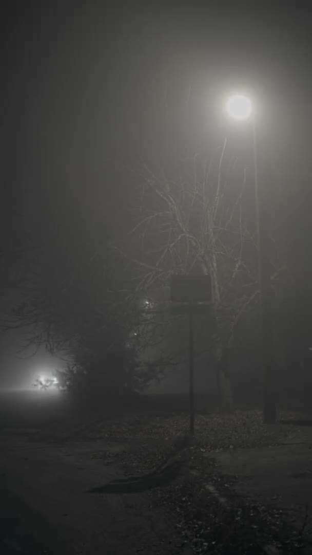 Mist 's nachts — Stockvideo