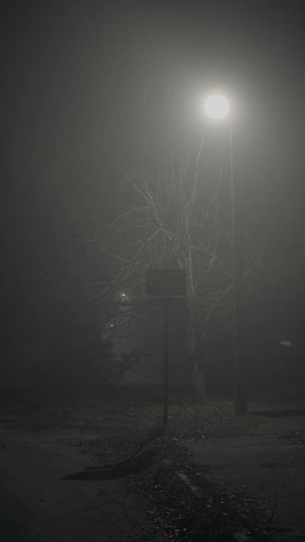 Fog at night — Stock Video