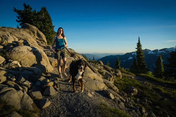 美しい女性の山の犬の散歩. — ストック写真