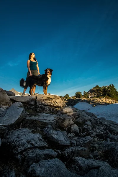 Vackra kvinnor gå med hunden i bergen. Stockbild