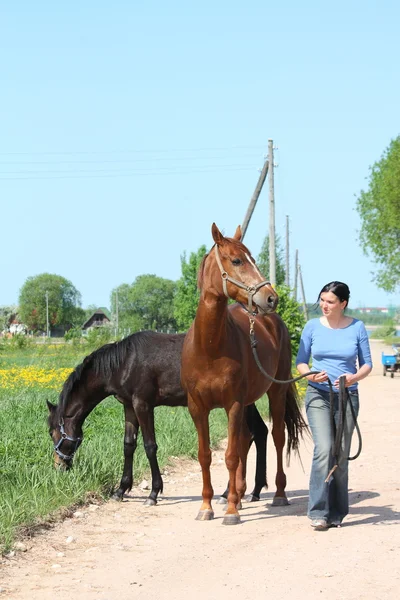 Женщина и каштановый конь идут по дороге — стоковое фото