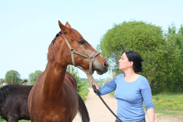 Woman and horse portrait — Stock Photo, Image