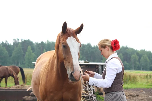 Piękna młoda kobieta blondynka, przygotowanie koni do jazdy — Zdjęcie stockowe