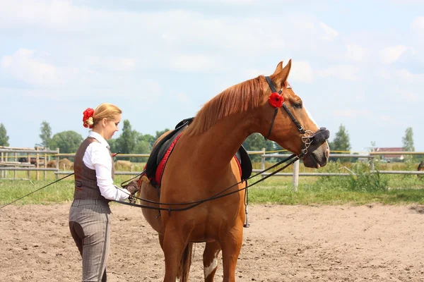 Bella giovane donna bionda ottenere cavallo pronto per l'equitazione — Foto Stock