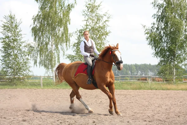 Schöne junge blonde Frau reitet Kastanienpferd — Stockfoto