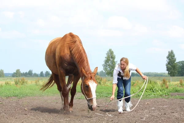 Молода блондинка командує каштановим конем, щоб лежати — стокове фото