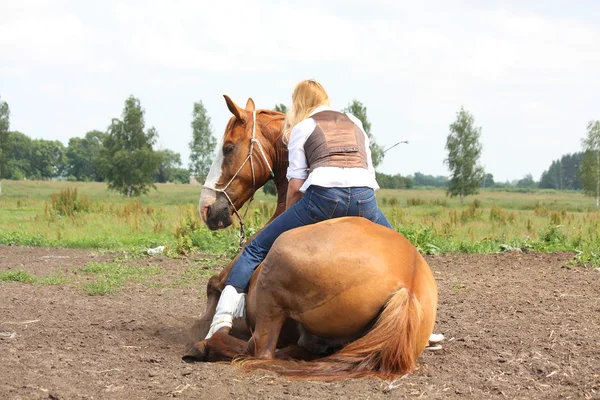 Young blonde woman sitting on the lying horse — Stock Photo, Image