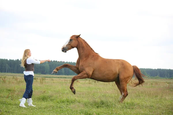 Junge blonde Frau kommandiert Pferd nach hinten — Stockfoto