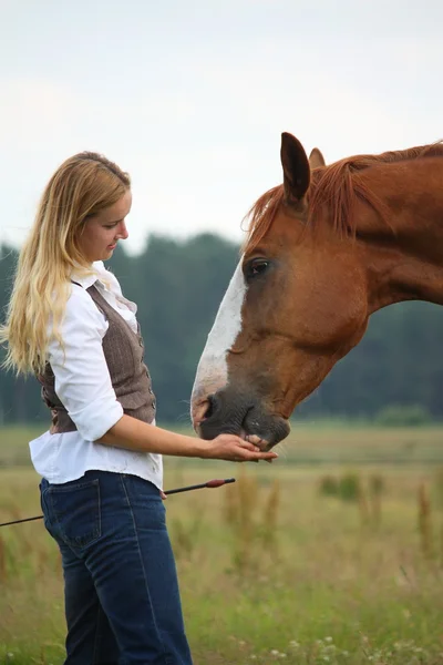 Frau schenkt Pferd Leckerbissen — Stockfoto