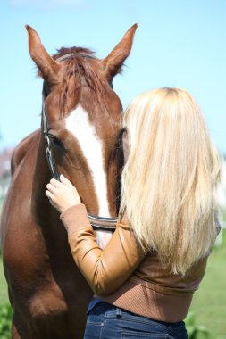 sarışın kadın ve kestane at