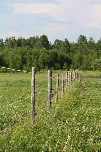 Wooden farm fence at the pasture — Stock Photo, Image