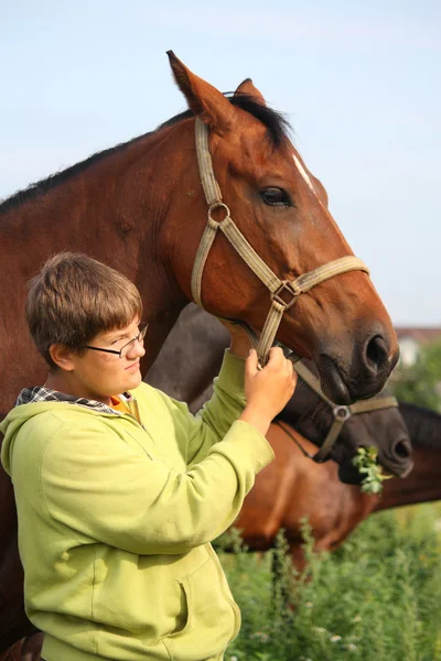 Ler tonåring pojke med hästar på fältet — Stockfoto