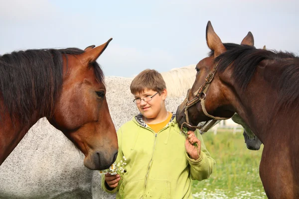 Teenager boy and horses from the herd — Stock Photo, Image