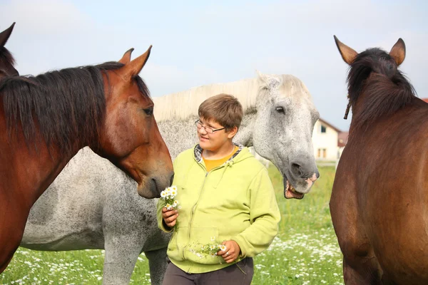 Teenager boy and horses from the herd — Stock Photo, Image
