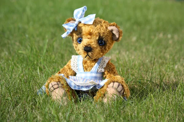 Beautiful girl teddy bear in blue dress — Stock Photo, Image