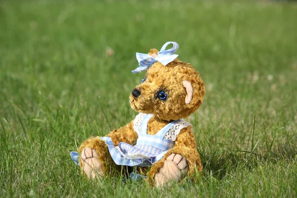 Beautiful girl teddy bear in blue dress — Stock Photo, Image