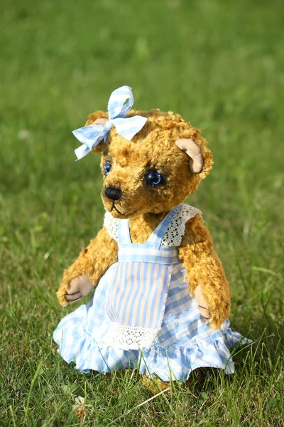 Красивая девушка плюшевый медведь в синем платье — стоковое фото