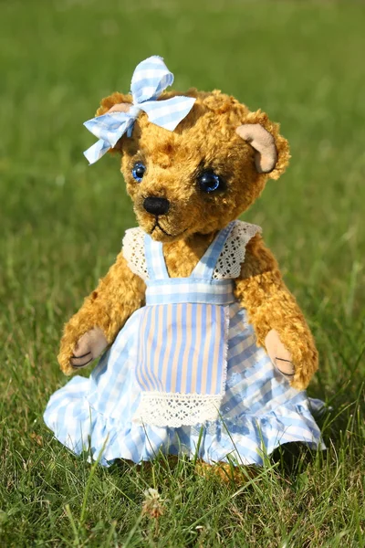 Красивая девушка плюшевый медведь в синем платье — стоковое фото