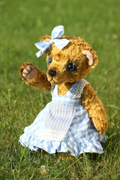 Beautiful girl teddy bear in blue dress — Stock Photo, Image