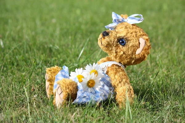 Beautiful girl teddy bear in blue dress — Stock Photo, Image