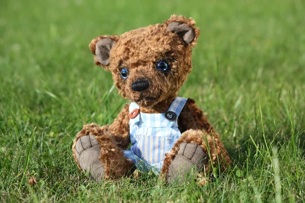 Smiling brown teddy bear in blue shorts — Stock Photo, Image