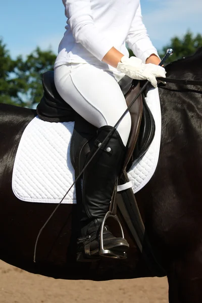 Dressuur rider close-up — Stockfoto