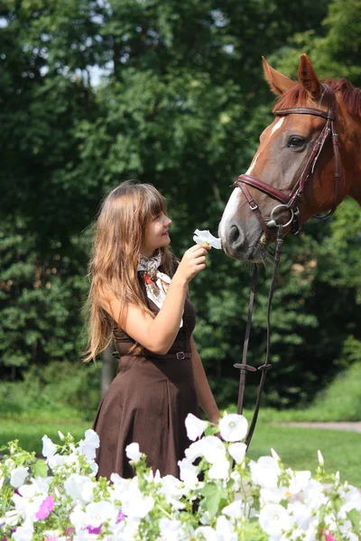 Hermosa chica en vestido y retrato de caballo cerca de la cama de flores — Foto de Stock