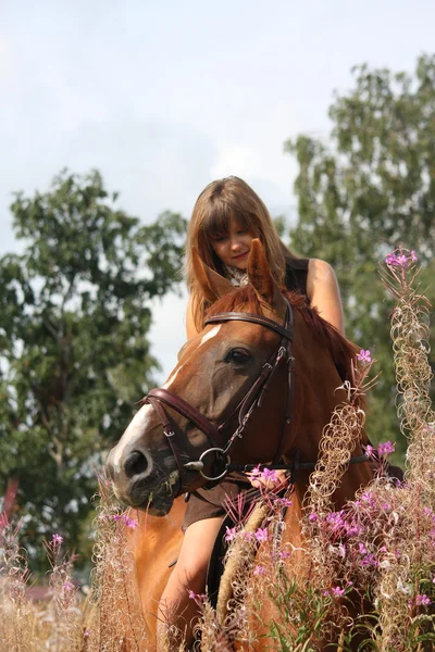 Vacker tonåring flicka Rider häst på fältet av blommor — Stockfoto