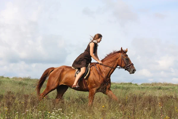 Beautiful teenage girl riding horse at the field — Stock Photo, Image