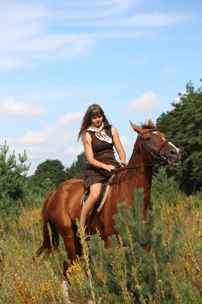 Дівчина в сукні і портрет коричневого коня в лісі — стокове фото