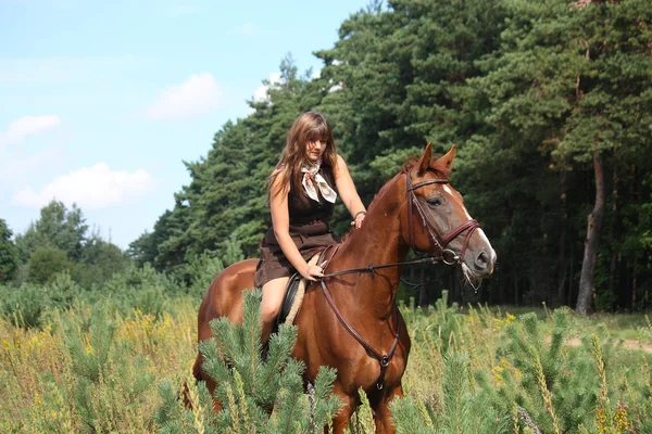 Menina em vestido e cavalo marrom retrato na floresta — Fotografia de Stock