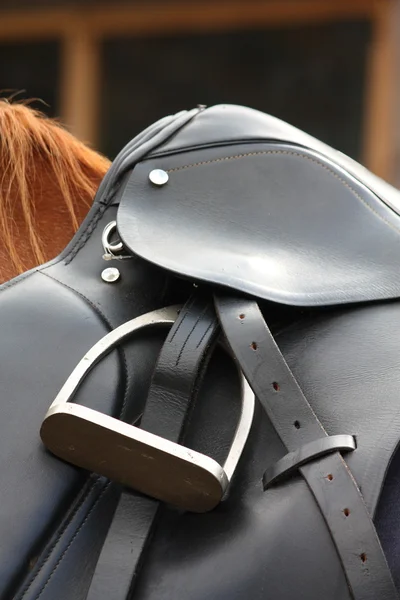 Close up of black saddle on horse back — Stock Photo, Image