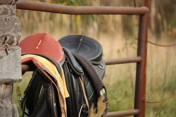 Close up of two saddles on the fence — Stock Photo, Image
