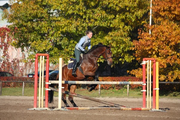 Young woman jumping barrier on brown horse in autumn — Stockfoto