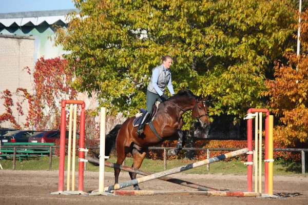 Young woman jumping barrier on brown horse in autumn — Stockfoto