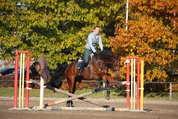 Jeune femme sautant barrière sur cheval brun en automne — Photo