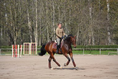 sarışın kadın binicilik defne at